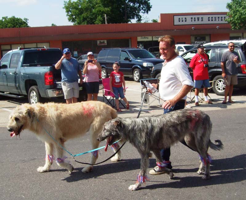 photo of man with dogs in July 4th, 2012 Parade